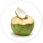 Coconut Water Note