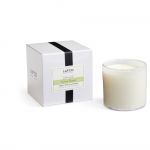 Celery Thyme Signature Candle | LAFCO New York
